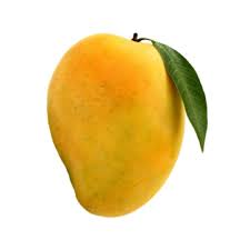 Mangoes ` 5KG